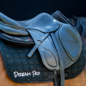 Dreampad and saddle 2