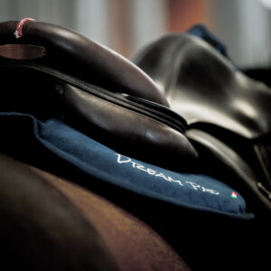 Dreampad and saddle