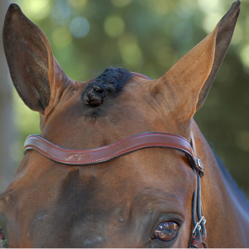 Frontalino Diamond V - Equestrian Roma - Vendita Articoli