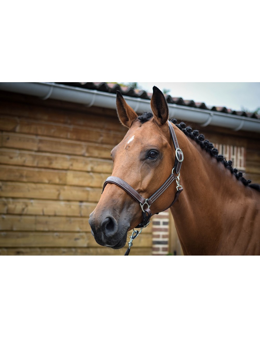 Lunghina con catena soft - Equestrian Roma - Vendita Articoli Equitazione  Roma